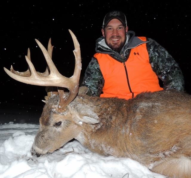 Whitetail Deer